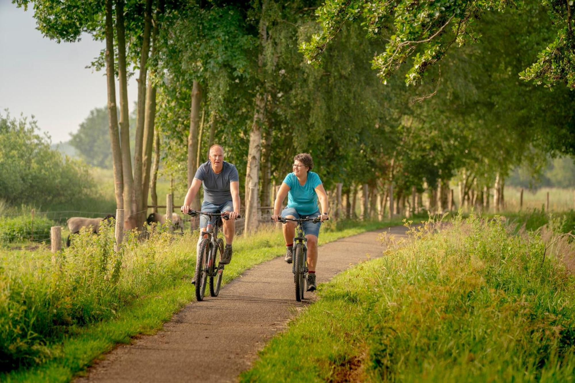 Vakantiepark Bosmeer Friesland Noordwolde  Cameră foto